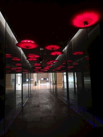 花伞