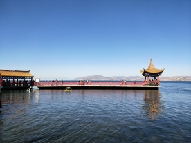 大理洱海 苍山洱海 海鸥 云南