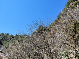 大理洱海 苍山洱海