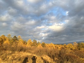 太白山云海