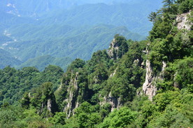 山脉树林