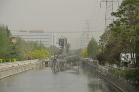 龙尾