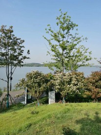 江水
