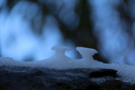 雪景