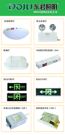 东君照明