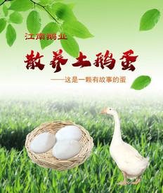 散养土鹅蛋