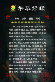 品牌文化