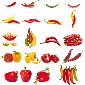 各种矢量辣椒