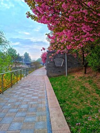 蓝天下美景