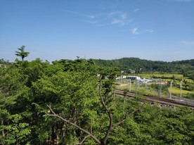 岳池风光