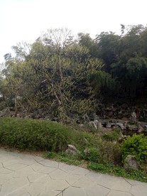 宜兴园林风景