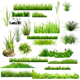 PSD 分层图 草  草装饰