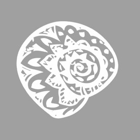 贝壳