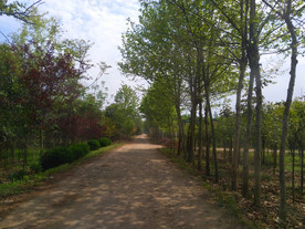 乡村田园风景