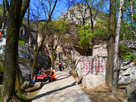 美丽的大山风景