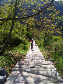 下山