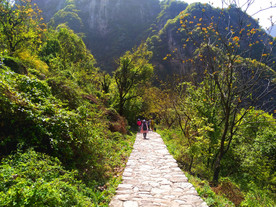 美丽的大山风光