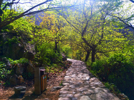 美丽的山路风景