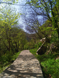 美丽的山路风景