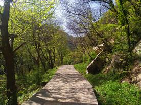 美丽的山路风景