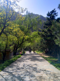 美丽的大山风光
