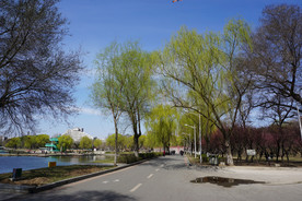 沈阳万柳塘公园的春色