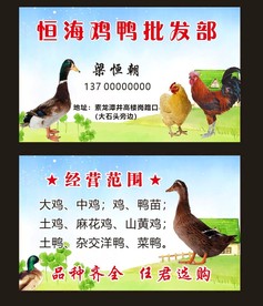 鸡鸭名片