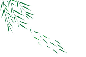 矢量柳树叶子素材