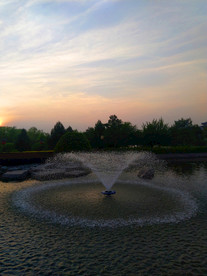 日暮下的公园湖泊美景