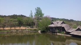 蒋军山