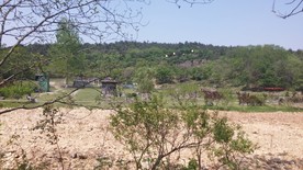 蒋军山