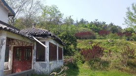 蒋军山