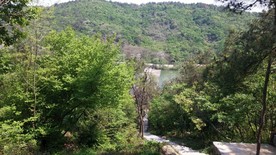 蒋军山