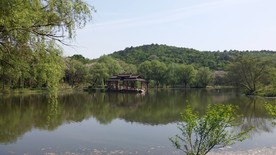 蒋军山