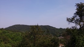 蒋军山