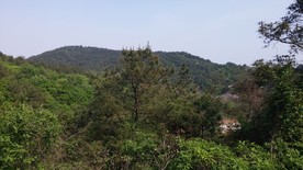 蒋军山