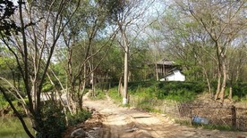 蒋军山