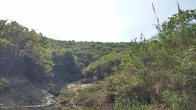 蒋军山