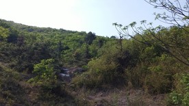 蒋军山