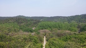 蒋军山