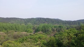 蒋军山