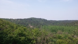 蒋军山
