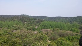 蒋军山