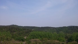 蒋军山