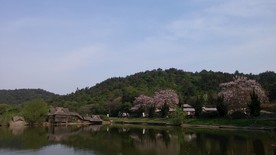 蒋军山