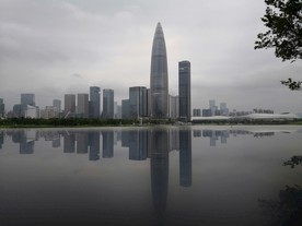 雨后春笋