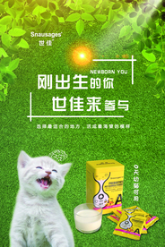 宠物海报 素材 产品海报
