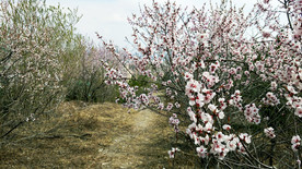山间小道