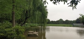 风景图 橘子洲风景图