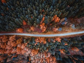 路